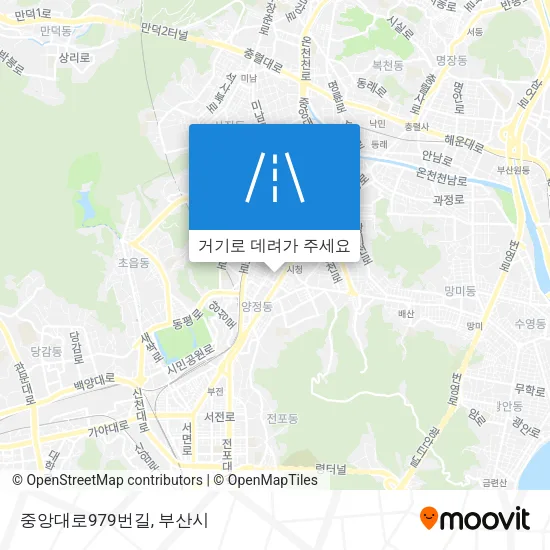 중앙대로979번길 지도