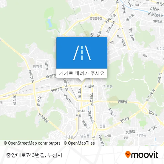 중앙대로743번길 지도