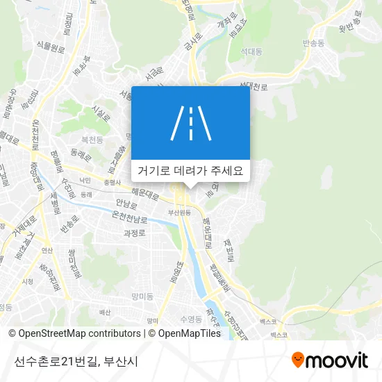 선수촌로21번길 지도