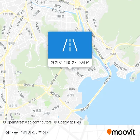 장대골로31번길 지도