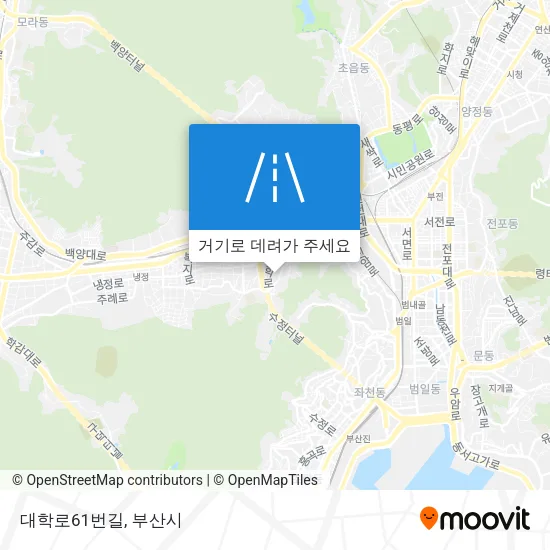 대학로61번길 지도