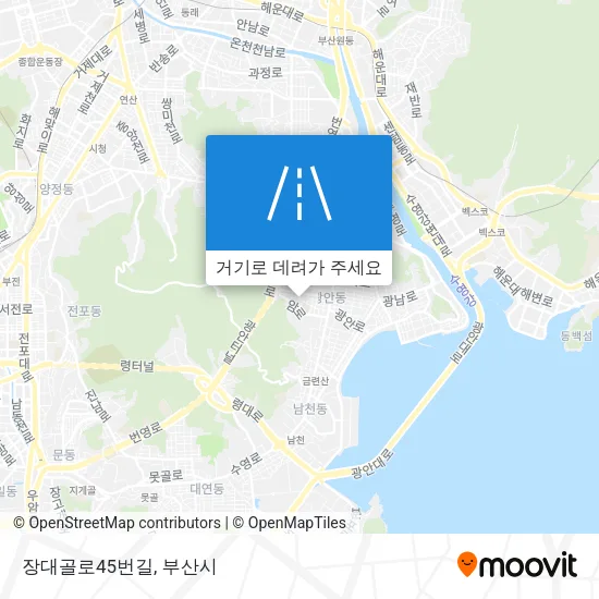 장대골로45번길 지도