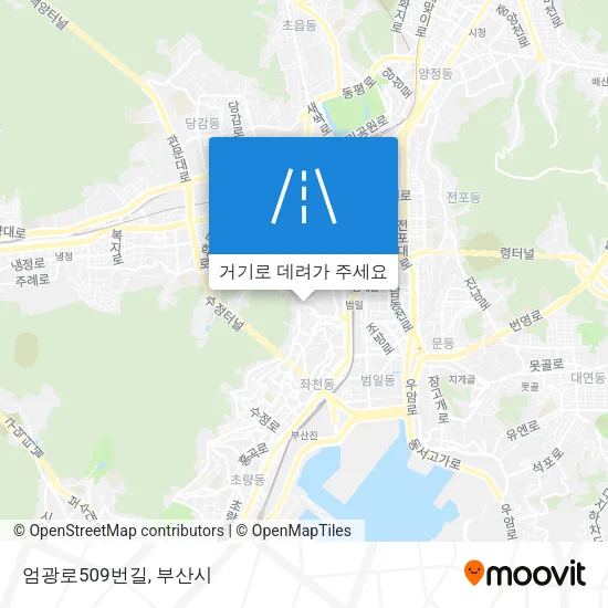 엄광로509번길 지도