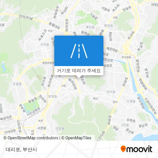 대리로 지도