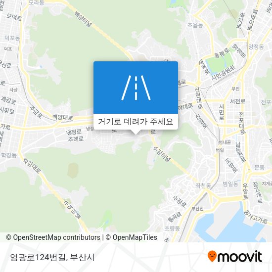 엄광로124번길 지도