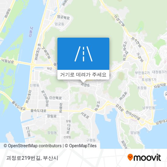 괴정로219번길 지도