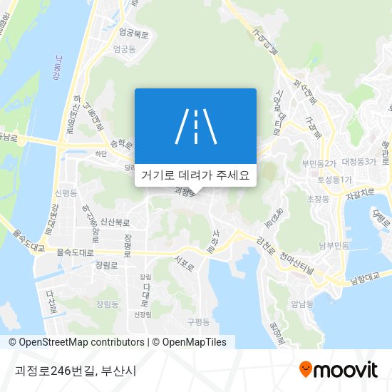 괴정로246번길 지도