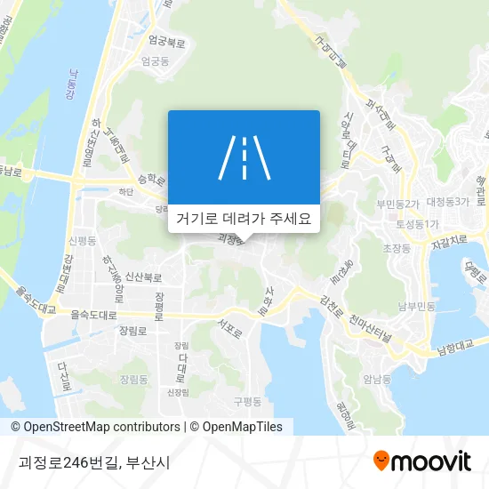 괴정로246번길 지도