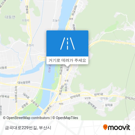 금곡대로229번길 지도