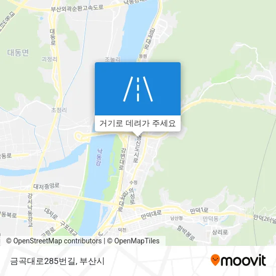 금곡대로285번길 지도