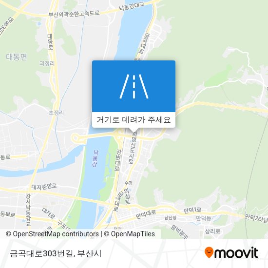 금곡대로303번길 지도