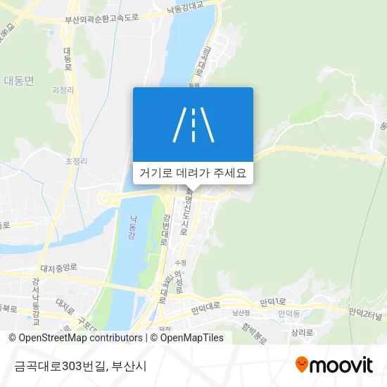 금곡대로303번길 지도