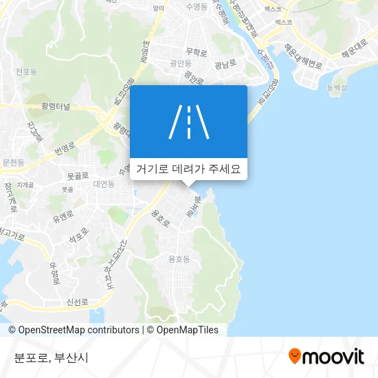 분포로 지도