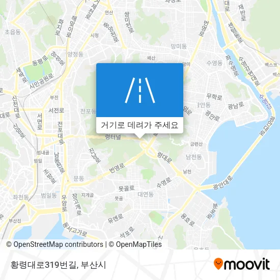 황령대로319번길 지도