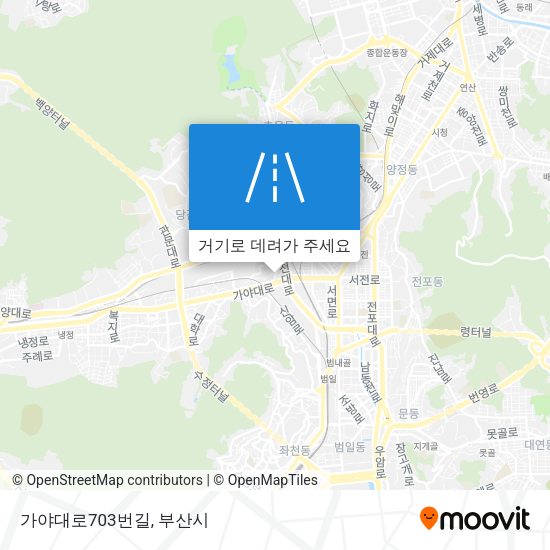 가야대로703번길 지도