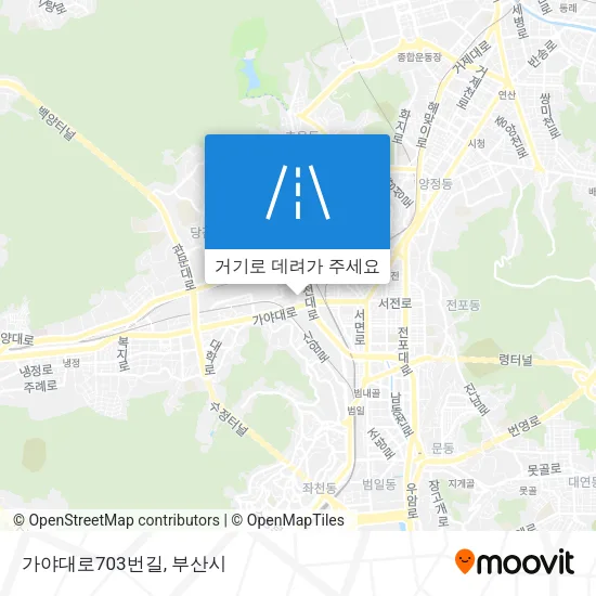 가야대로703번길 지도