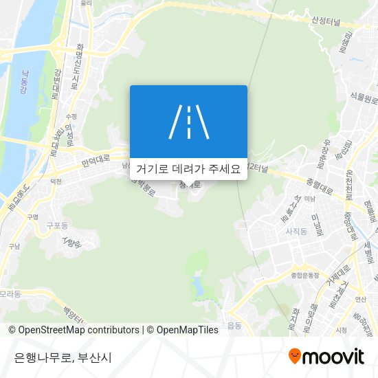 은행나무로 지도
