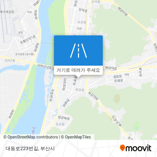 대동로223번길 지도
