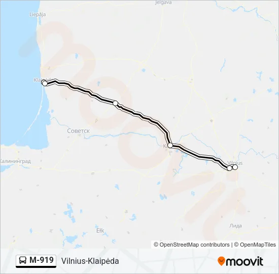 M-919 Bus Line Map
