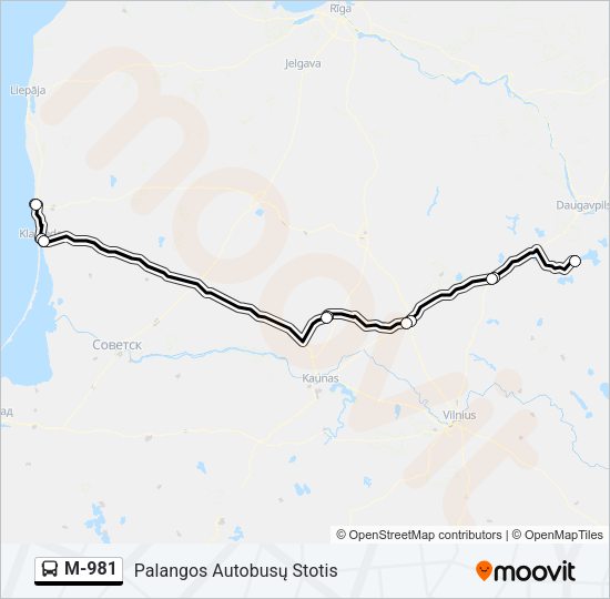 Автобус M-981: карта маршрута