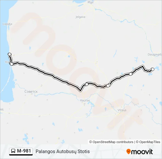 M-981 Bus Line Map