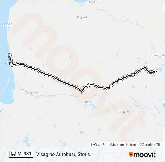 M-981 Bus Line Map