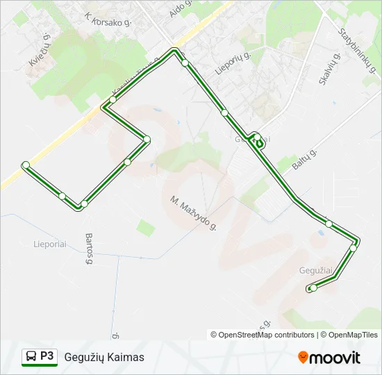 P3 Bus Line Map
