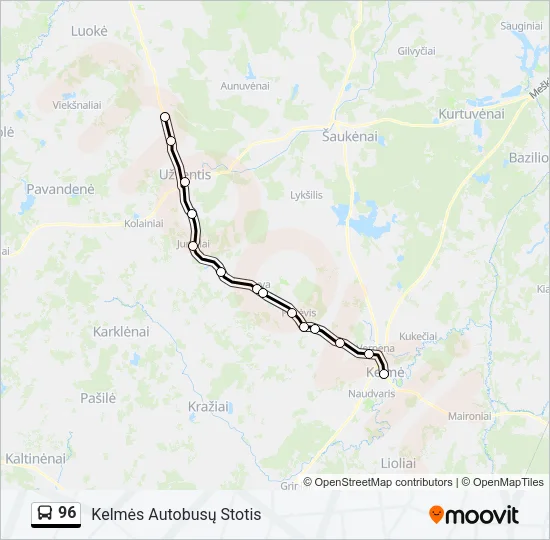 96 Bus Line Map