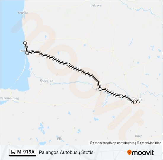 M-919A Bus Line Map
