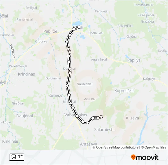 Автобус 1*: карта маршрута