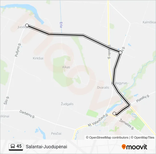 Автобус 45: карта маршрута