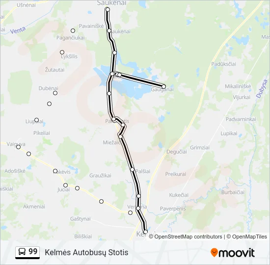 99 Bus Line Map