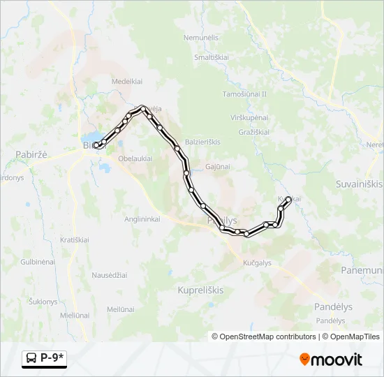 P-9* Bus Line Map