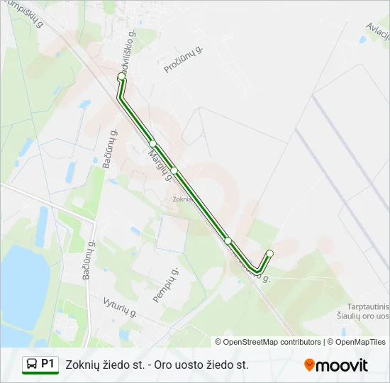 P1 Bus Line Map
