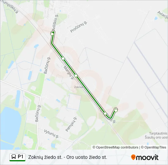 P1 Bus Line Map
