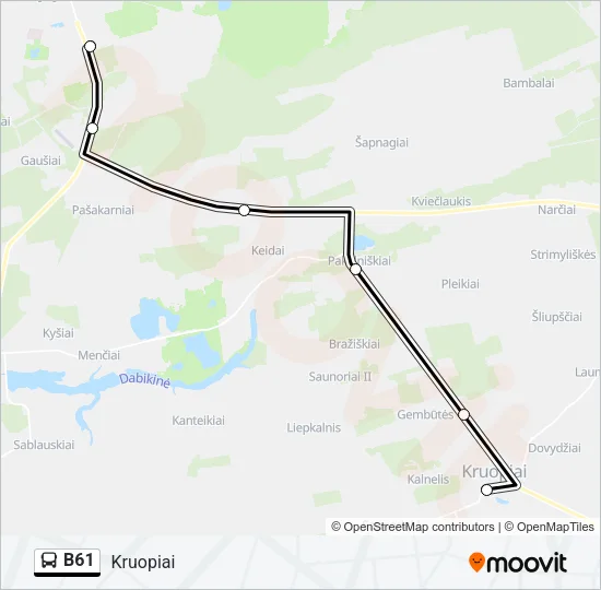 B61 Bus Line Map