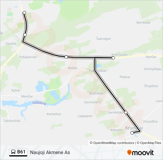 B61 Bus Line Map