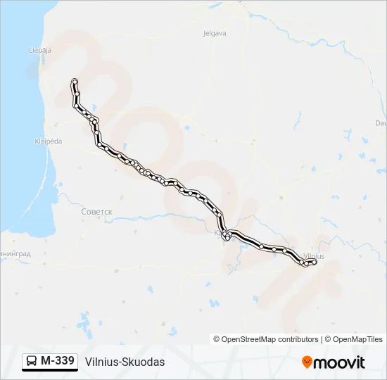 M-339 Bus Line Map