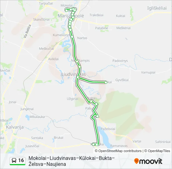16 Bus Line Map