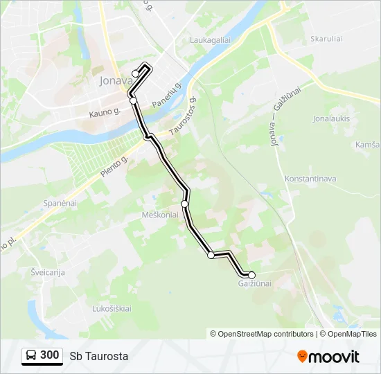 300 Bus Line Map