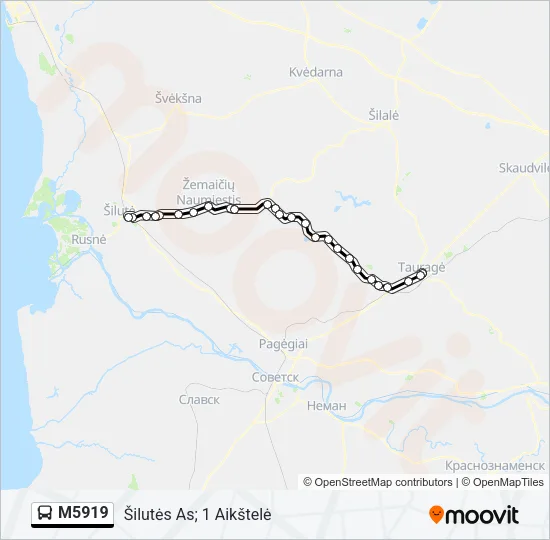 M5919 Bus Line Map