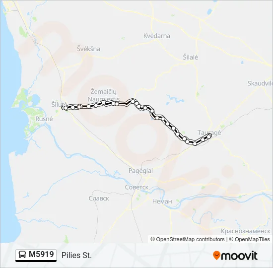 M5919 Bus Line Map