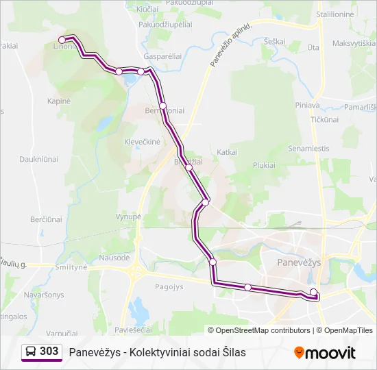 Автобус 303: карта маршрута