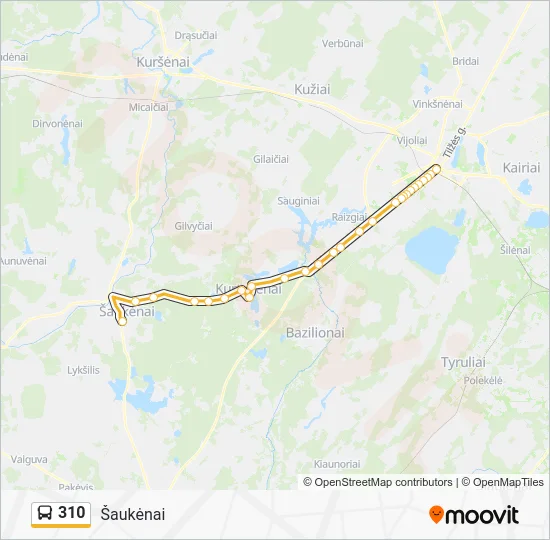 Автобус 310: карта маршрута