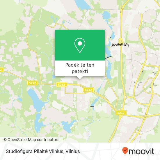 Studiofigura Pilaitė Vilnius žemėlapis