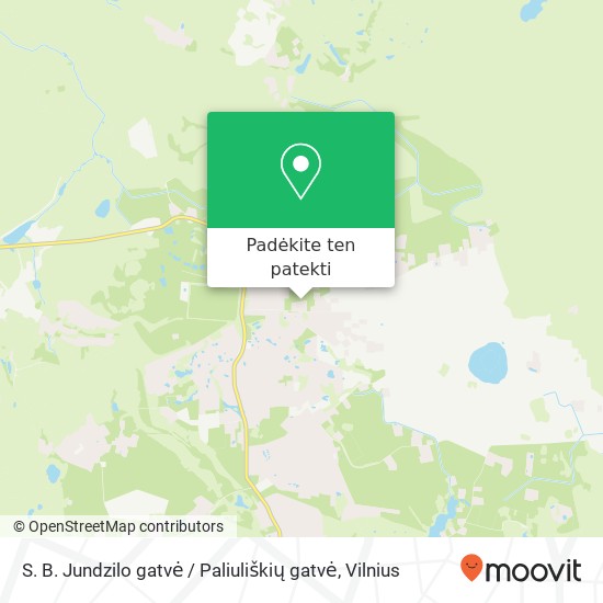 S. B. Jundzilo gatvė / Paliuliškių gatvė žemėlapis