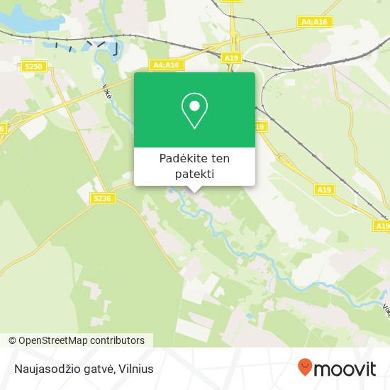 Naujasodžio gatvė žemėlapis