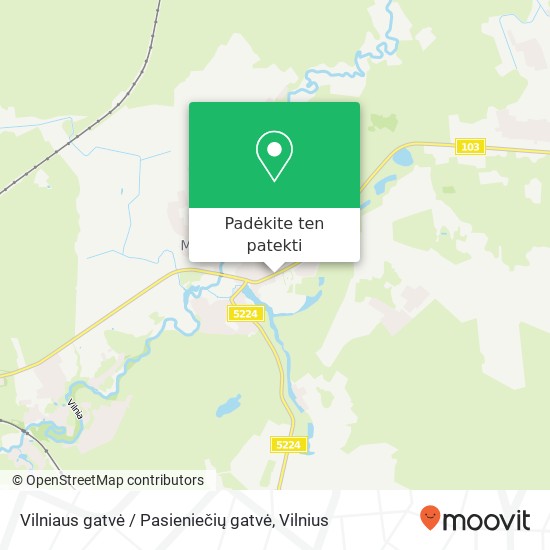 Vilniaus gatvė / Pasieniečių gatvė žemėlapis