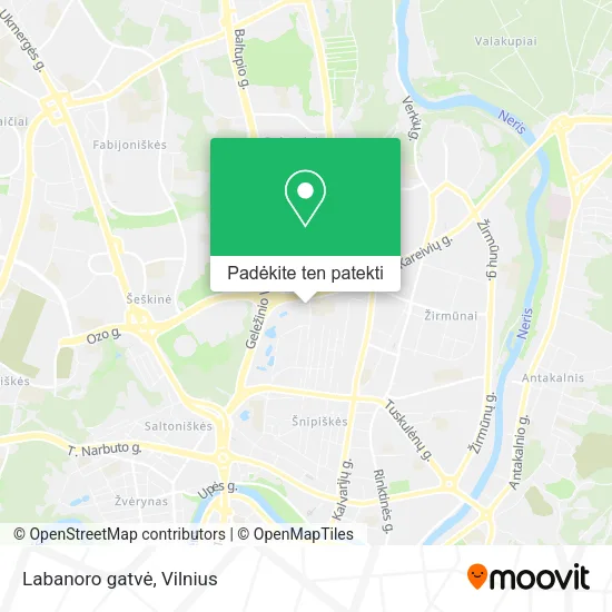 Labanoro gatvė žemėlapis