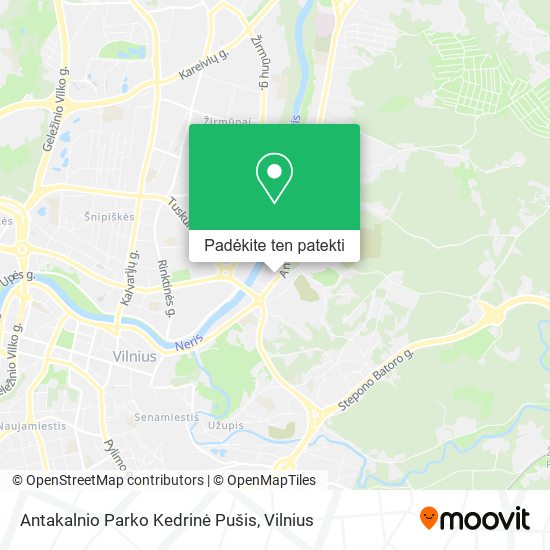 Antakalnio Parko Kedrinė Pušis žemėlapis